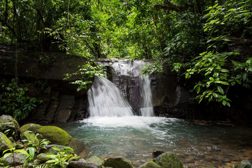 950 Breath taking Acres on the Ocean in Puntaernas Costa Rica