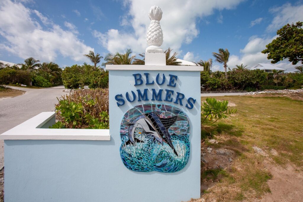 BLUE SUMMER