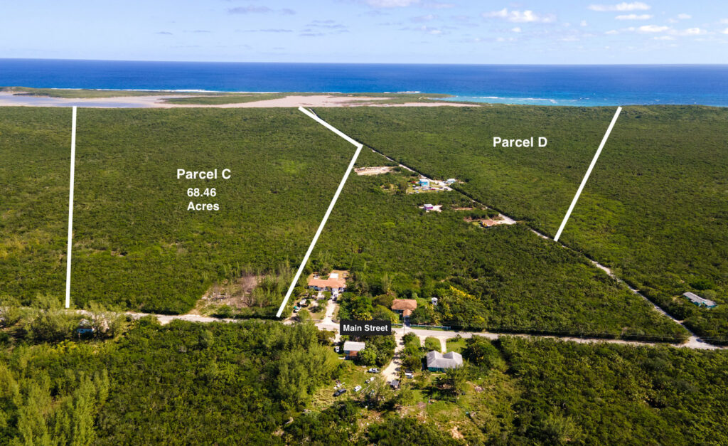 250 Acre Tract, Grays Settlement – MLS 65530